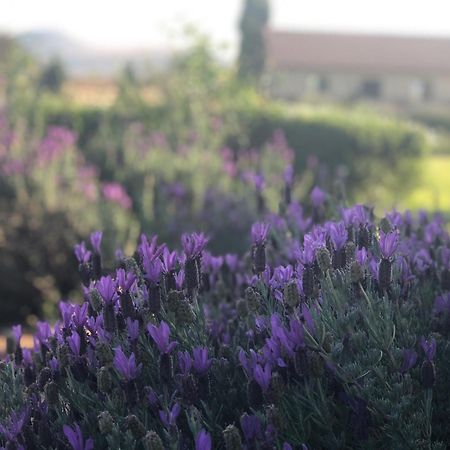 הוילה ליידנבורח Mount High Luxury Country Estate מראה חיצוני תמונה