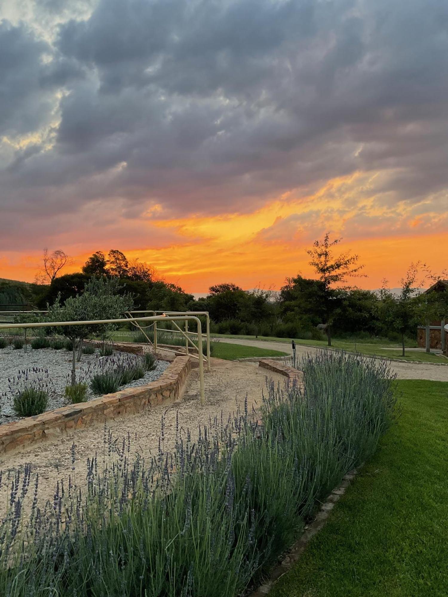 הוילה ליידנבורח Mount High Luxury Country Estate מראה חיצוני תמונה